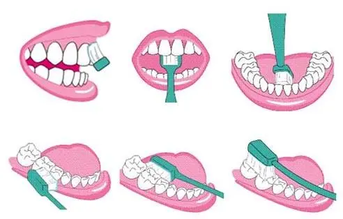 巴氏刷牙法，最詳圖解在這裡！