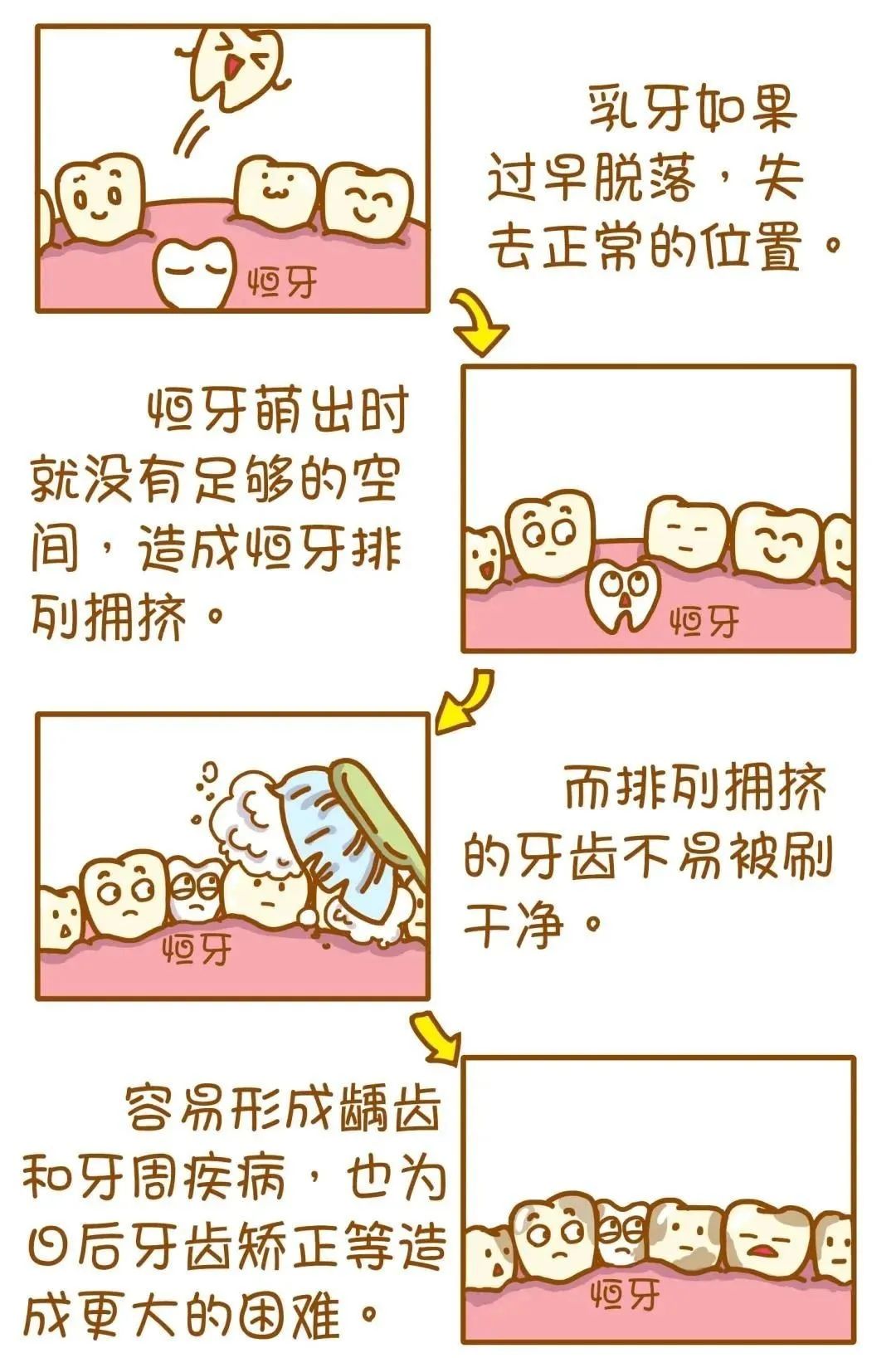 乳牙換恆牙 前後注意啥？